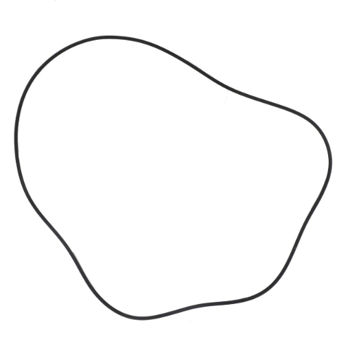Picture of O-RING