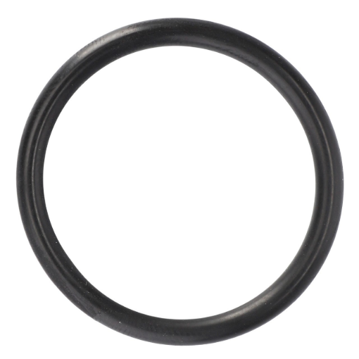Picture of O-RING