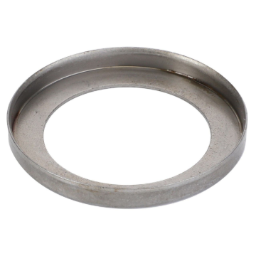 Picture of RING