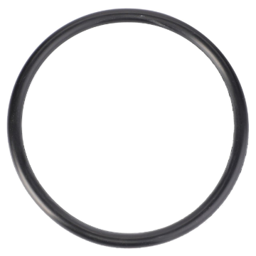 Picture of O-RING
