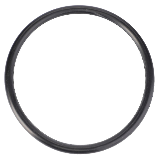 Picture of O-RING