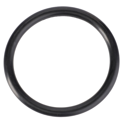 Picture of O-RING