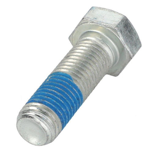 Picture of BOUT