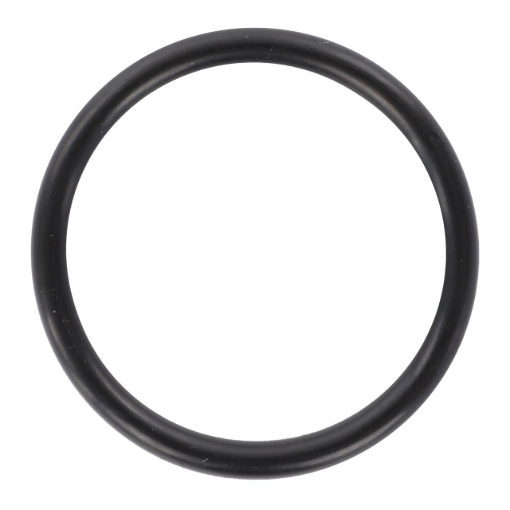 Picture of O-RING