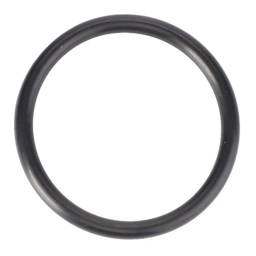 Picture of O-RING