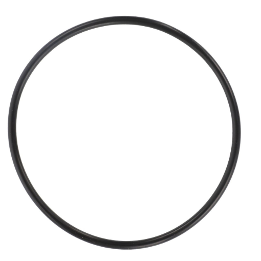 Picture of O-RING