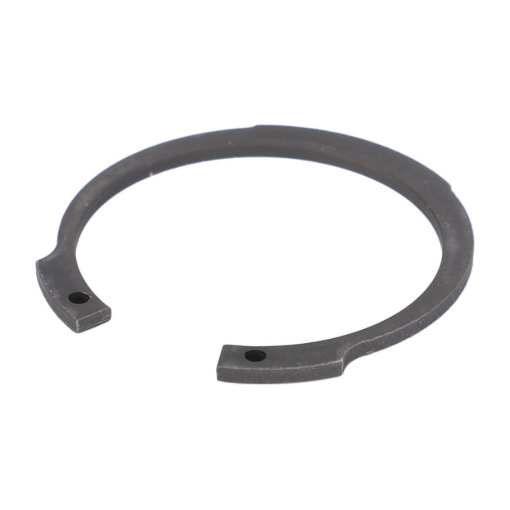 Picture of CLIPS