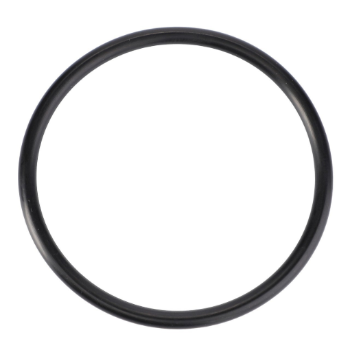 Picture of O-RING