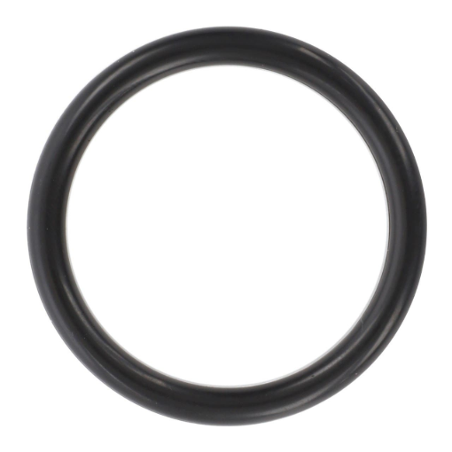 Picture of O-RING