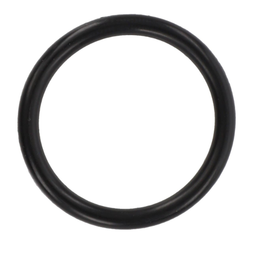 Picture of O-RING