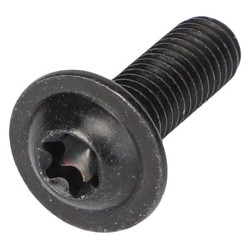 Picture of BH CAPSCREW