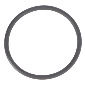 Picture of O-RING