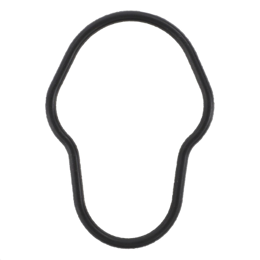 Picture of O-RING