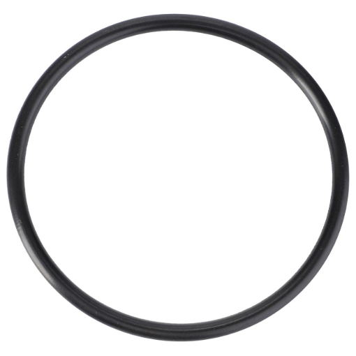 Picture of O-RING