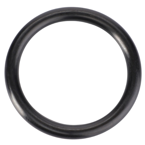 Picture of O-RING