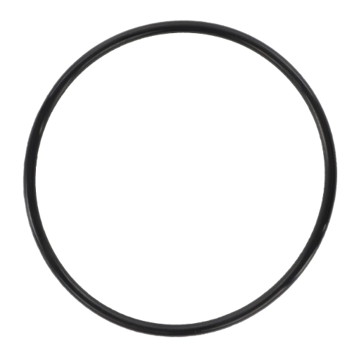 Picture of O-RING