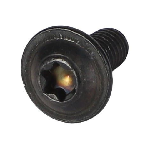 Picture of TORX SCREW