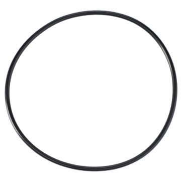Picture of O-RING