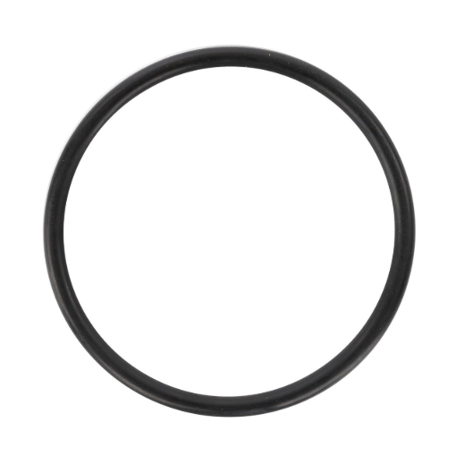 Picture of O-RING