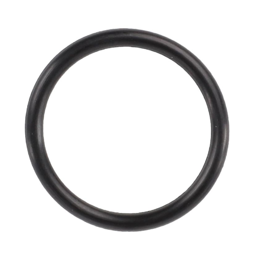 Picture of O-RING