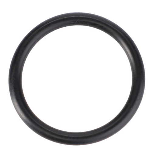 Picture of O-RING