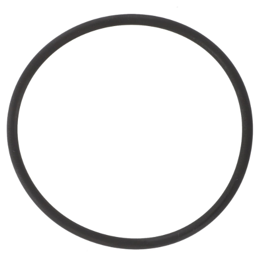Picture of O-RING