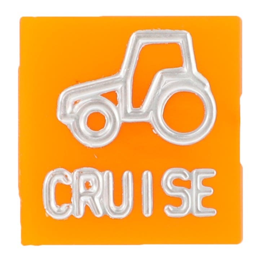 Picture of SYMBOOL CRUISECONTROL
